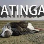 Jatinga Village of Assam