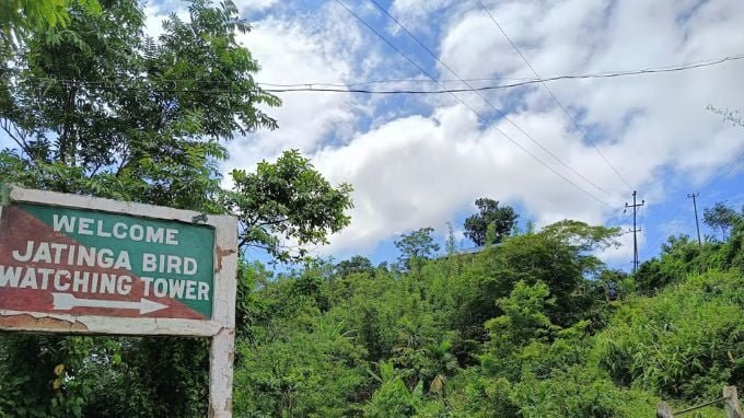 jatinga bird watching center