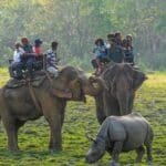 Kaziranga National Park