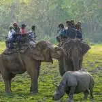 Kaziranga National Park