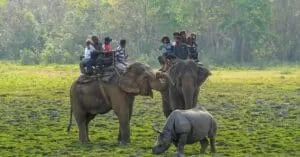 Kaziranga National Park