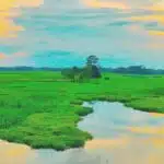 Majuli Island of Assam