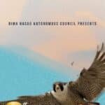 falcon festival at Umrangso Dima Hasao District of Assam