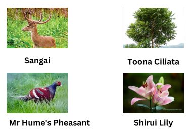 state animal and bird of Manipur state tree of Manipur state flower of Manipur