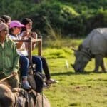 Travel Guide to Book Safari in Pobitora Wildlife Sanctuary