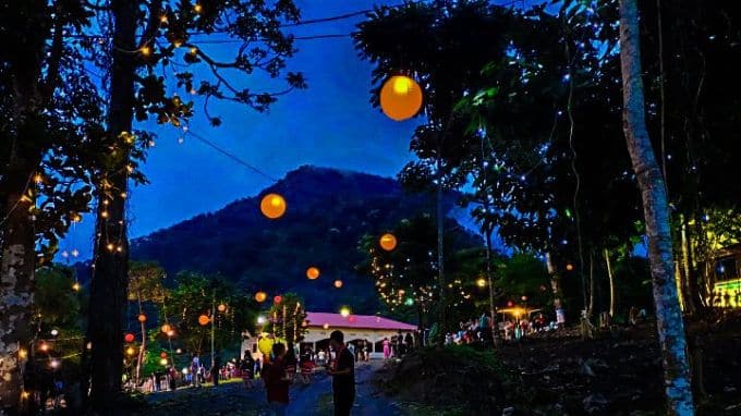 night view of Jatinga Bird Festival