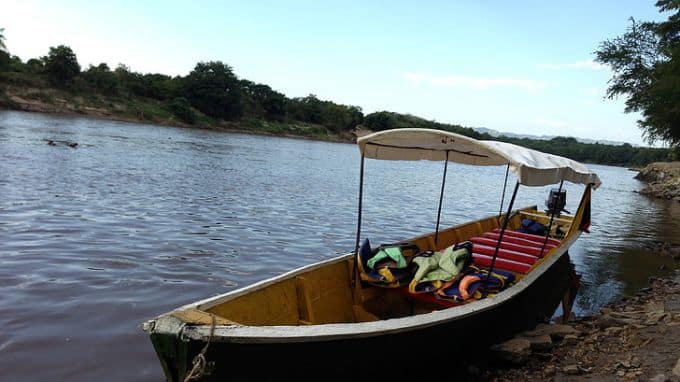 boat safari in pobitora wildlife sanctuary