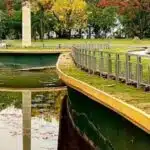 Trending Tourist Places of Guwahati Within 50 Km