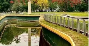 Trending Tourist Places of Guwahati Within 50 Km