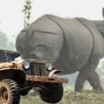 How To Book Jeep Safari in Kaziranga