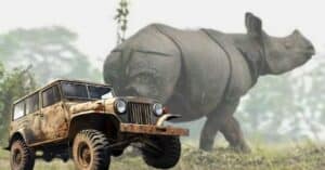 How To Book Jeep Safari in Kaziranga