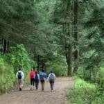 Most Visited Picnic Spot in Lower Assam : From Guwahati