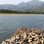 Mathanguri Picnic Spot : Exploring Manas National Park