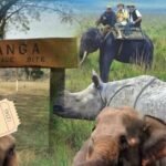 Kaziranga National Park Tickets : Price and Booking Guide