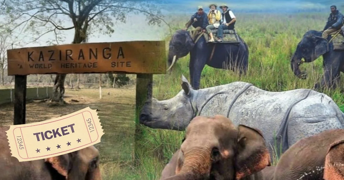 Kaziranga National Park Tickets : Price and Booking Guide